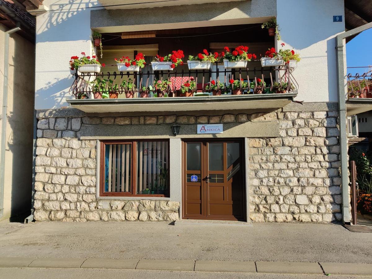 Apartman Ankica Golubăţ Exterior foto